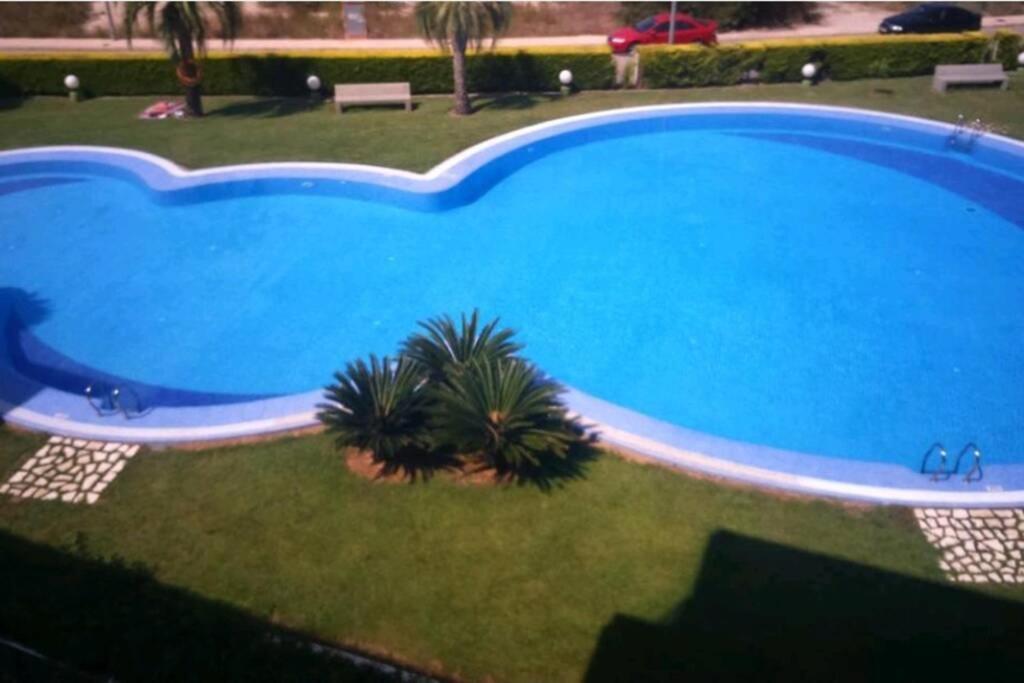 Paradise  Oliva Exterior foto
